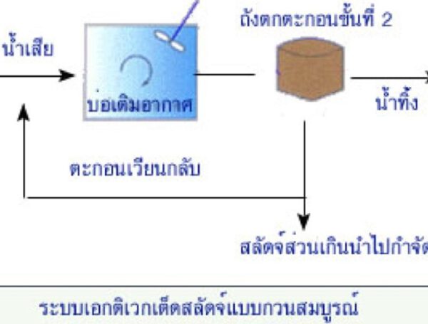 ระบบบำบัดน้ำเสียแบบเลี้ยงตะกอนเร่ง (Activated Sludge Process)